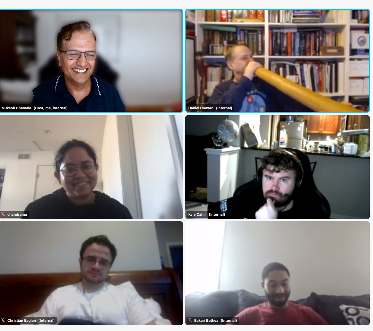 Virtual lab group meeting with Mukesh Dhamala and lab members